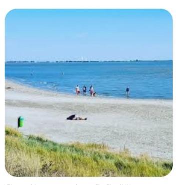 'T Groentje Baarland Exteriér fotografie